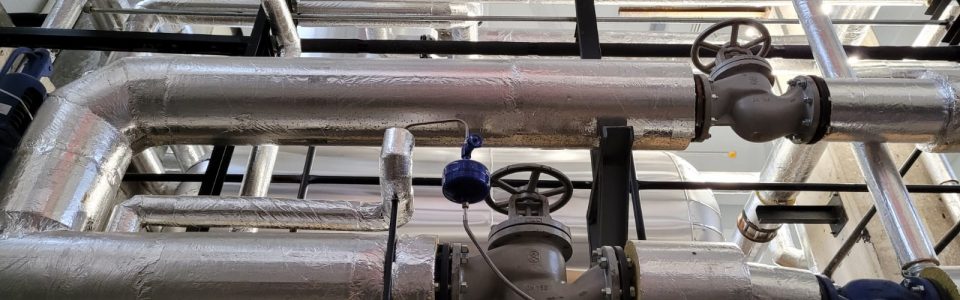 WhatsApp Image 2022-12-07 at 13.09.22